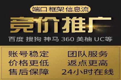 行业领先企业的SEM竞价代运营案例解析